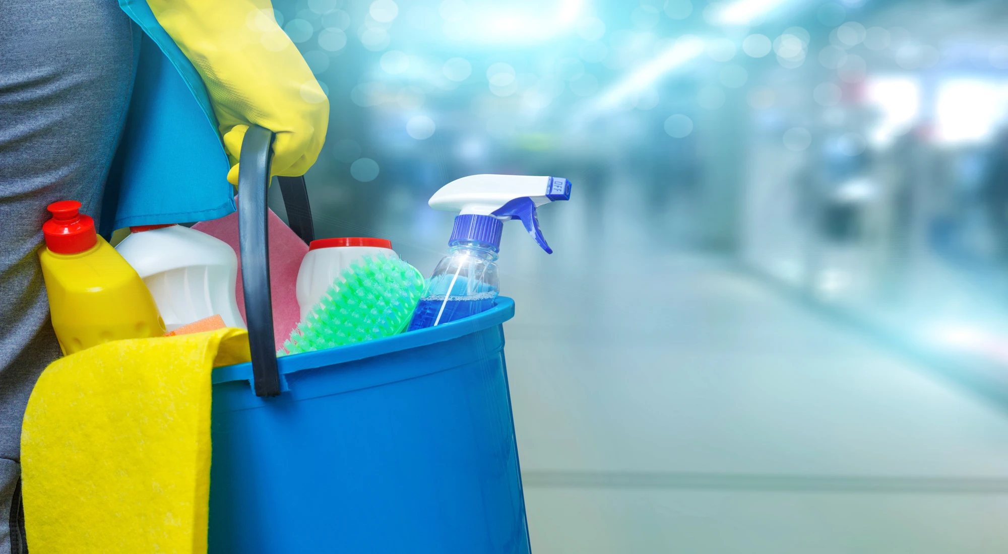 Cleaning Services